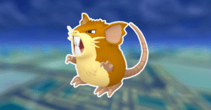 Raticate | Stats, Moves, Evolution & Locations | The Pokemon Pokedex With Rhys & Felicity