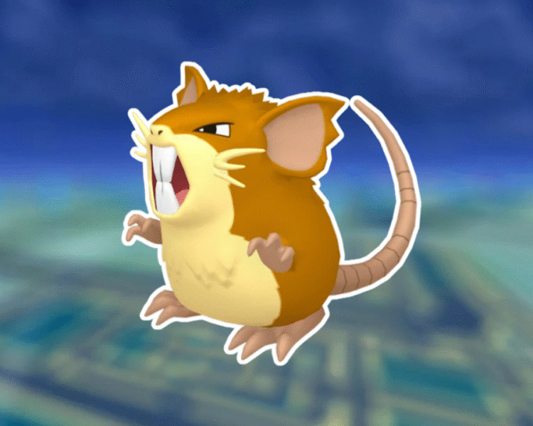 Raticate | Stats Moves Evolution & Locations