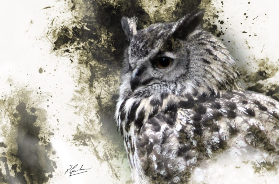 outlander supporting actor