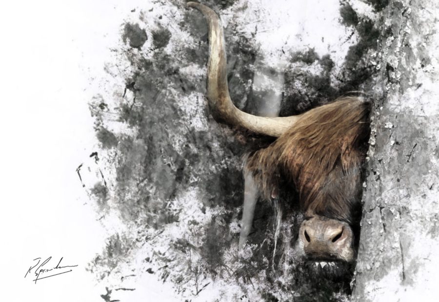 outlander supporting actor