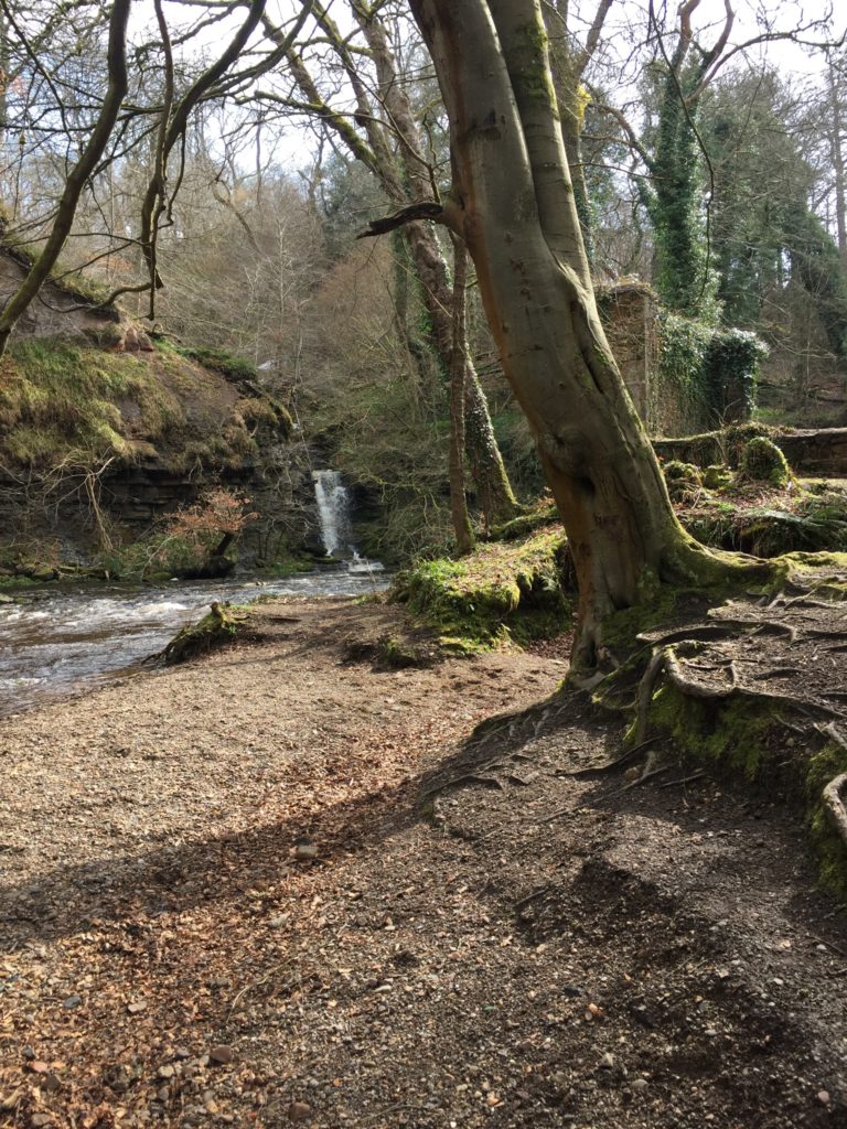 roslin glen country park, outlander locations