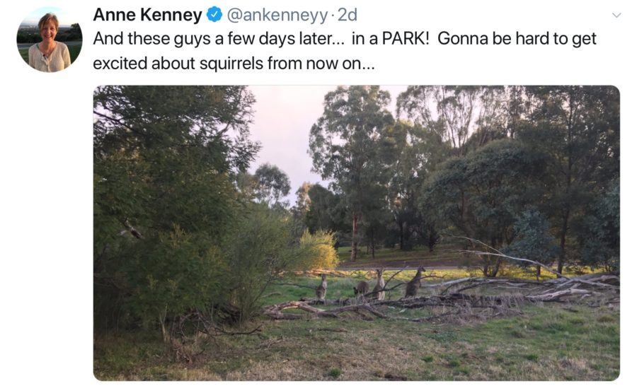 Outlander writer Anne Kenney