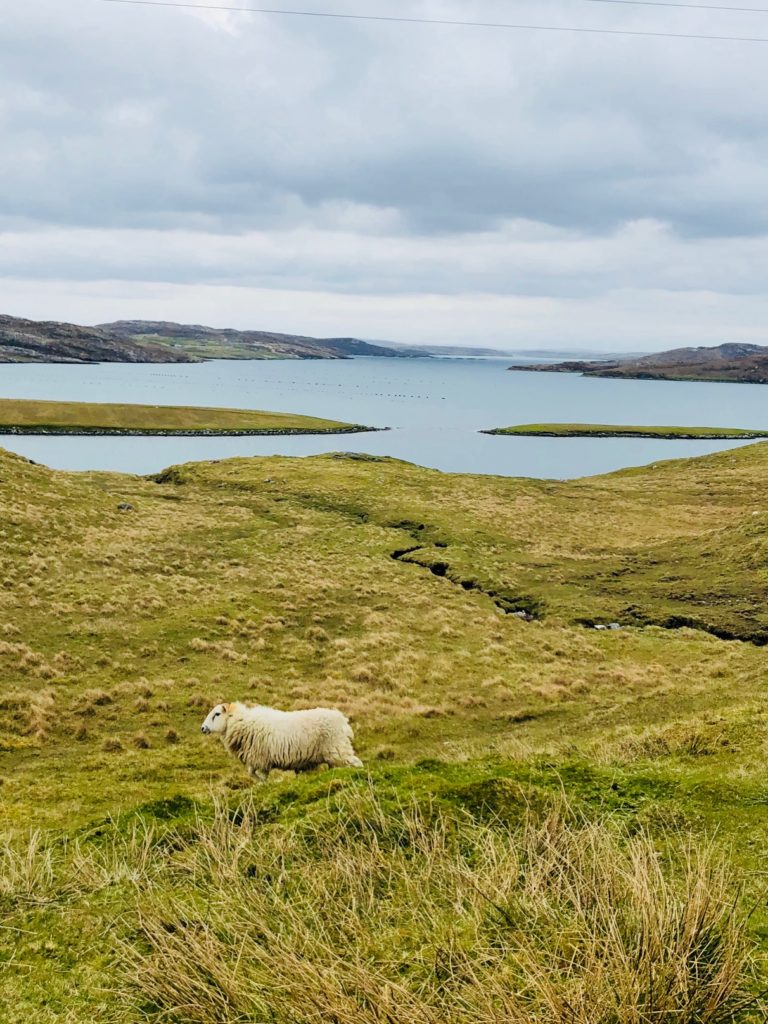 scotland's outer hebrides