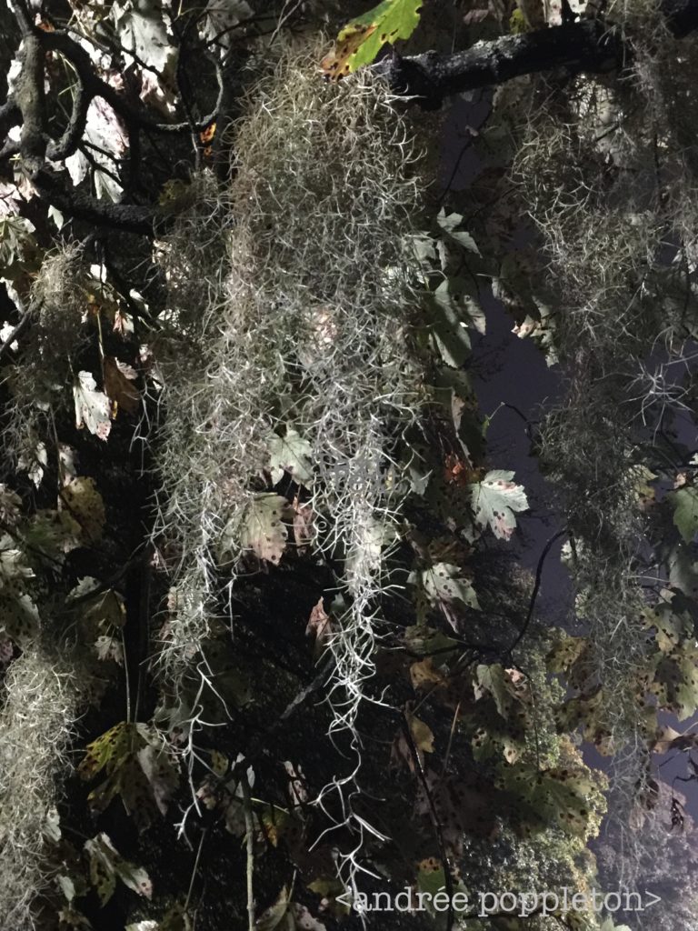 outlander episode 401, America the Beautiful