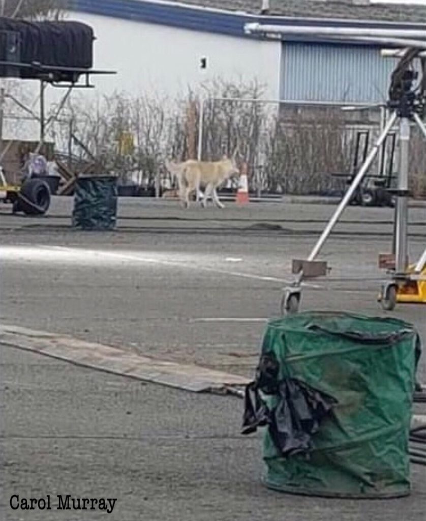 seeing outlander, outlander episode 409, behind the scenes filming outlander season 4