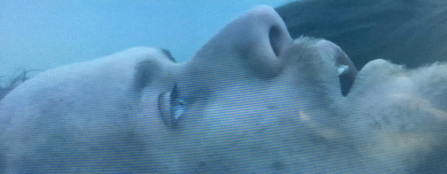 use of breath, Outlander, Outlander Cast, Outlander cast blog, season 2