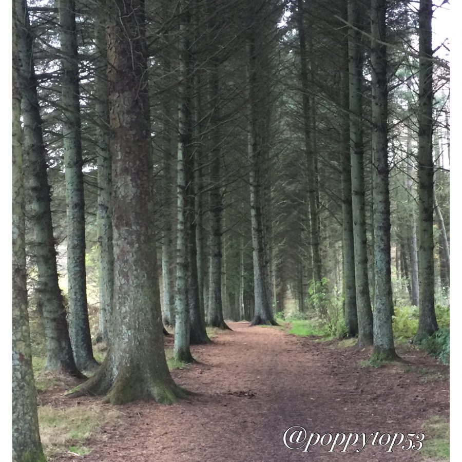 outlander season 4 filming