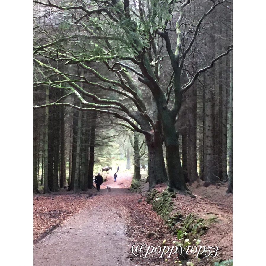 outlander season 4 filming