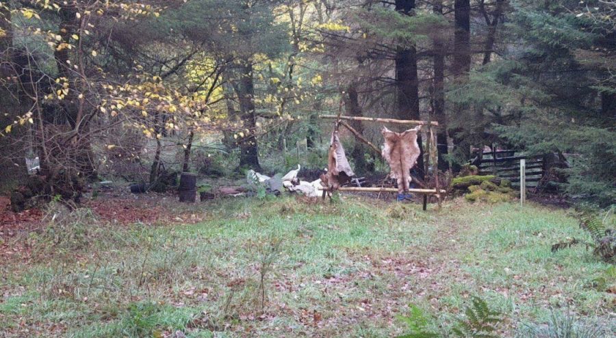 outlander season 4 filming