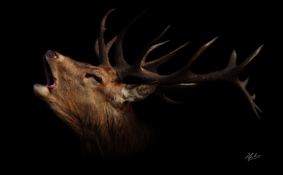 outlander supporting actor