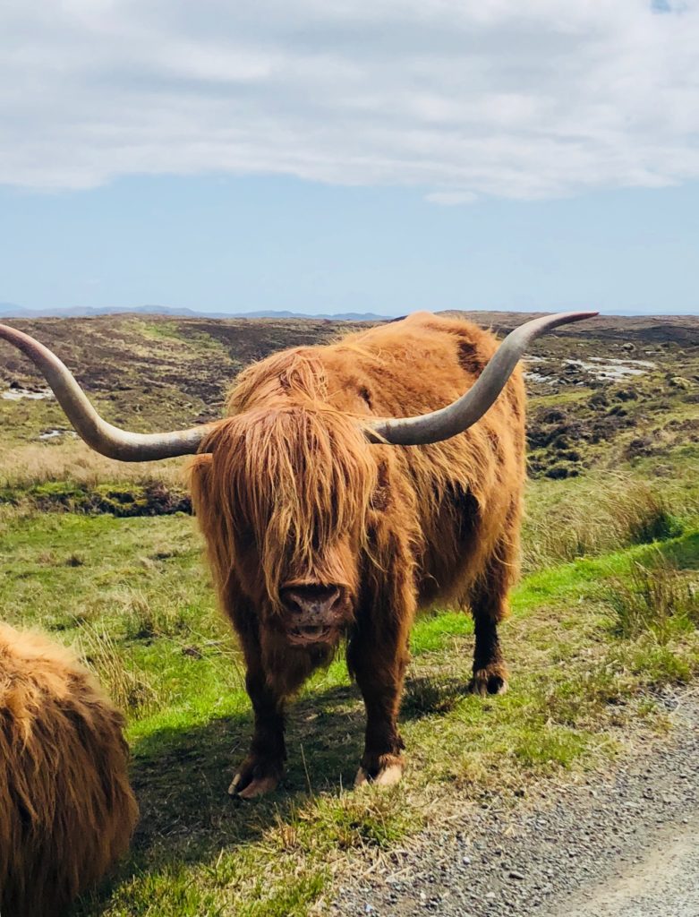 inner hebrides, scotland