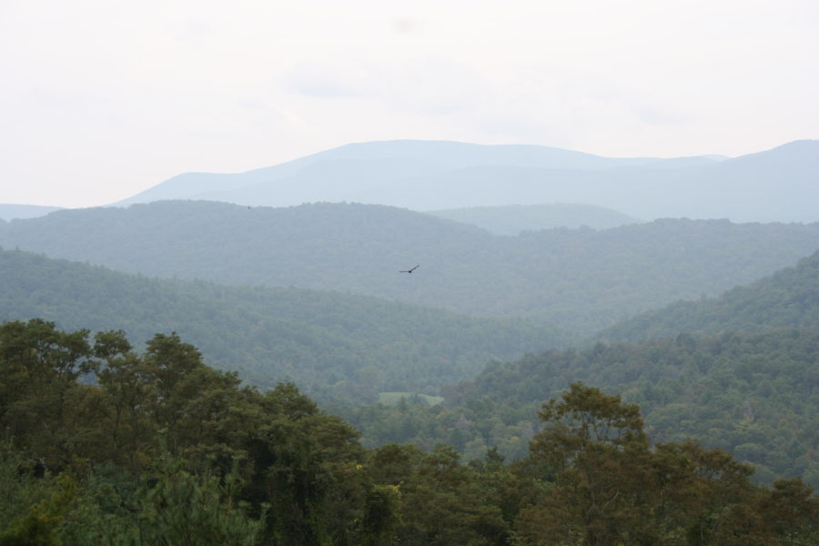 love outlander season 4