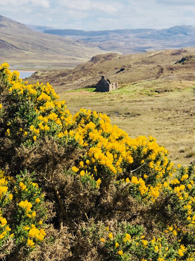 scotland's outer hebrides
