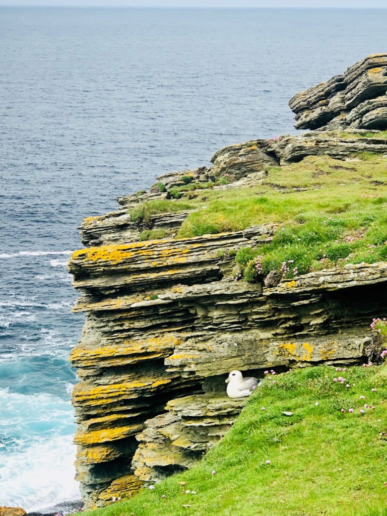 scotland's outer hebrides