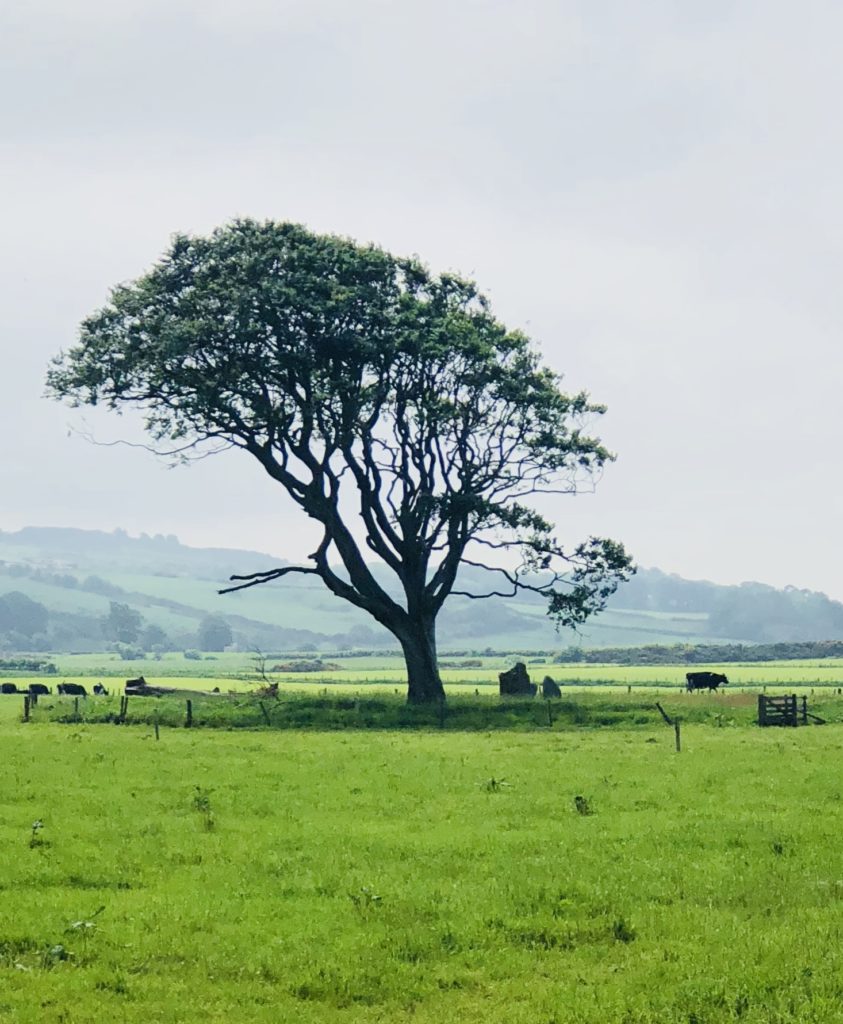 scotland's outer hebrides