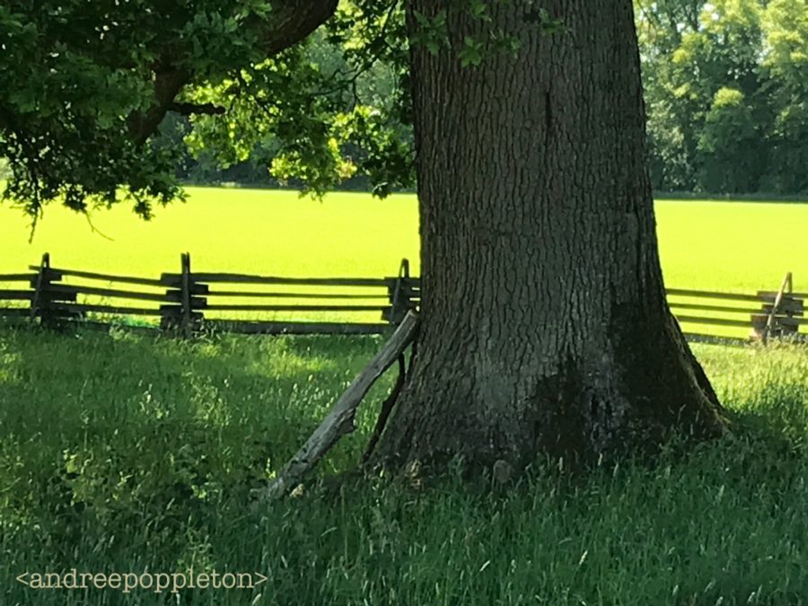 outlander episode 402, do no harm