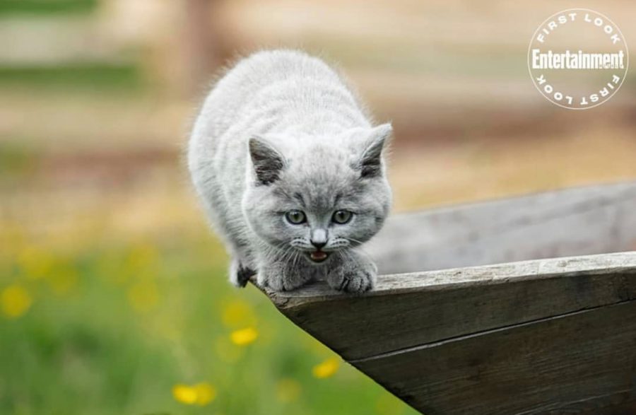 outlander season 5 tweet fest part 2