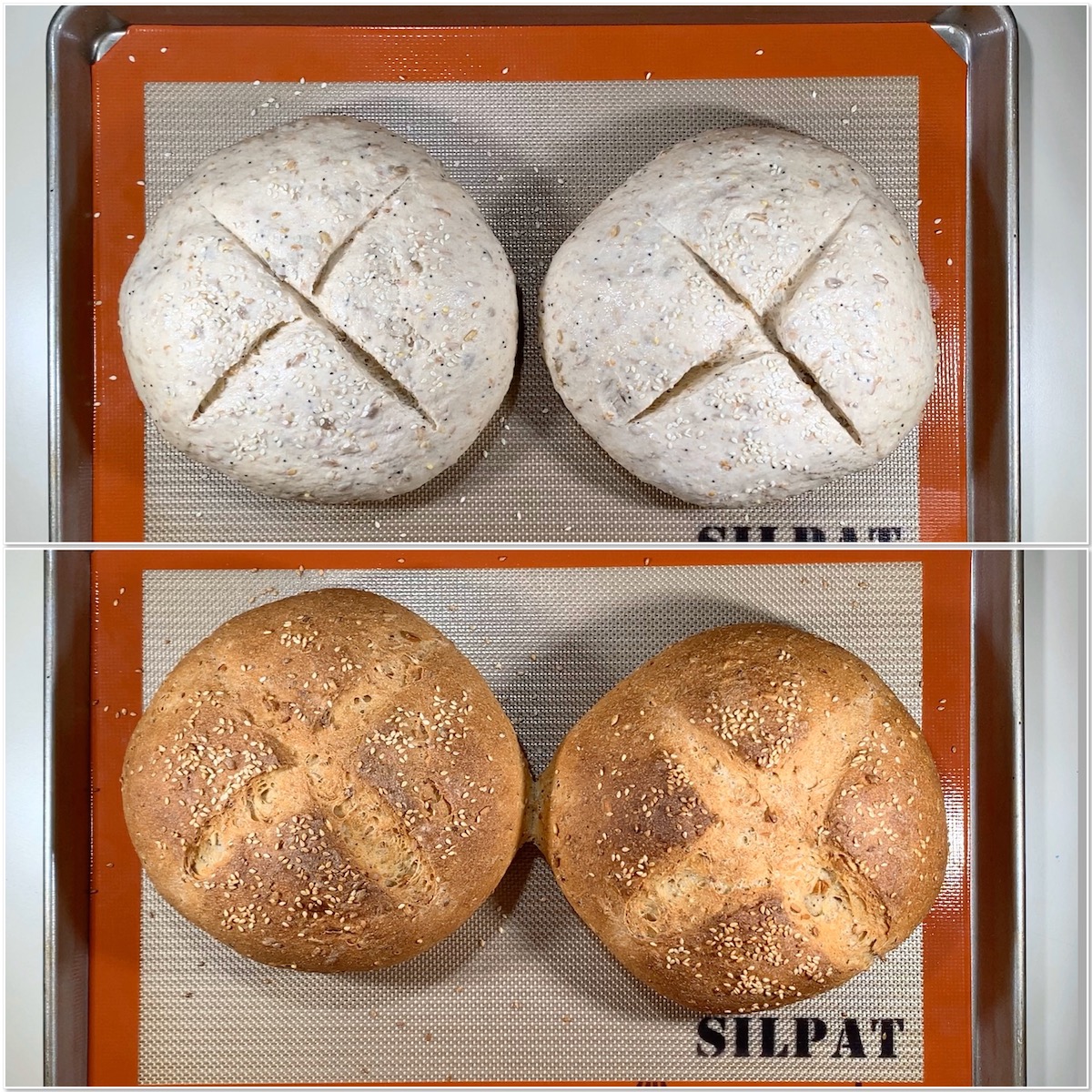 Before and after baking multigrain sourdough bread collage