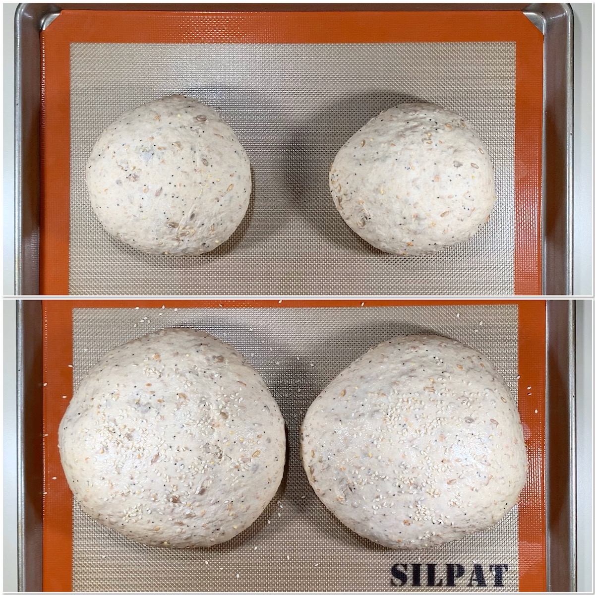 Before and after proofing multigrain sourdough bread collage