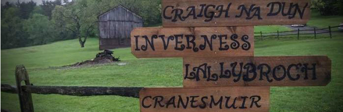 header2Bfor2Bdenise2527s2Bpost.resized.jpg