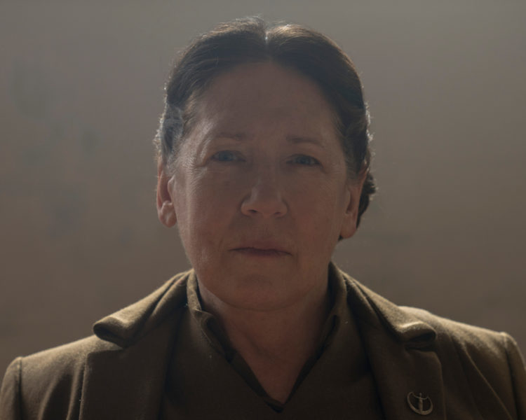 The handmaid's Tale: Unfit