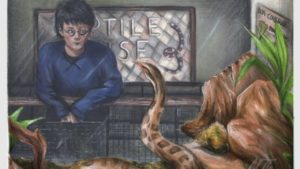 Harry Potter Chapter 2: The Vanishing Glass | The Sorcerer’s Stone | The Potterverse Podcast podcast artwork