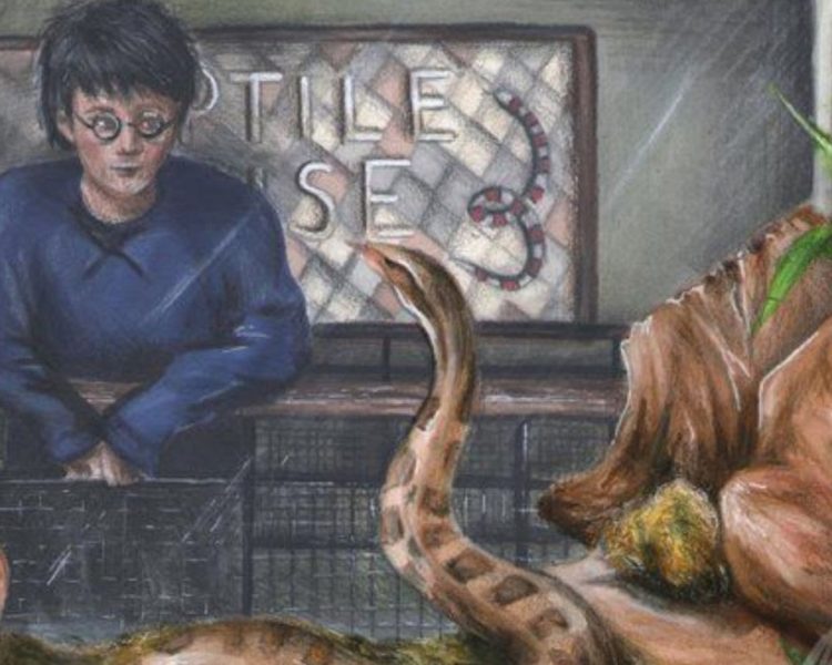 Harry Potter: The Vanishing Glass
