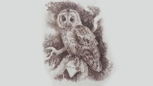 The Potterverse: Chapter 27 – Padfoot Returns | The Goblet Of Fire podcast artwork