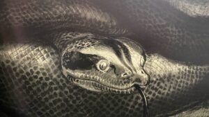 The Potterverse: Chapter 29 – The Dream | The Goblet Of Fire podcast artwork