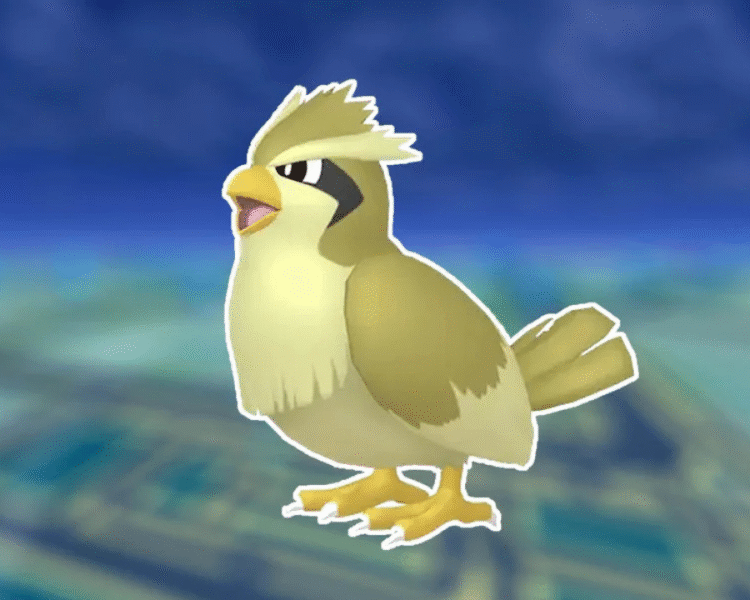 Pidgey | Stats Moves Evolution & Locations