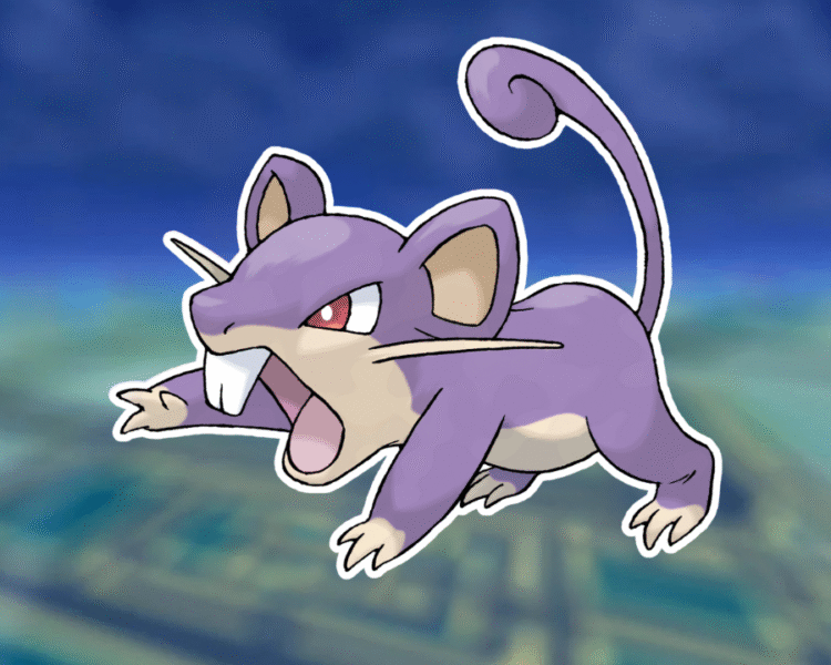Rattata | Stats Moves Evolution & Locations
