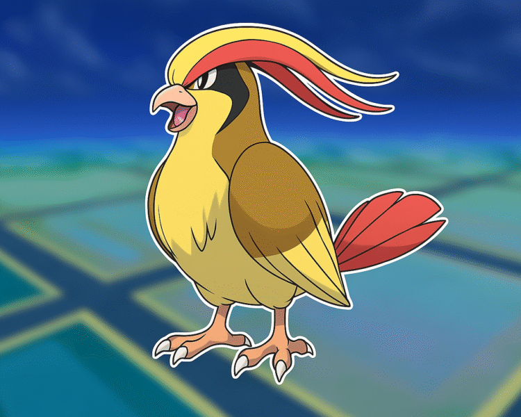 Pidgeot | Stats Moves Evolution & Locations