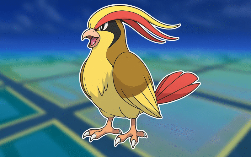 Pidgeot | Stats Moves Evolution & Locations