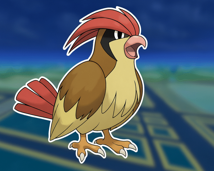 Pidgeotto | Stats Moves Location & Evolution