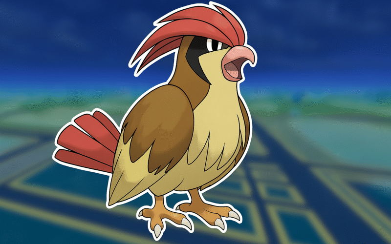 Pidgeotto | Stats Moves Location & Evolution
