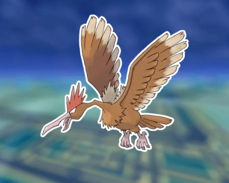 Fearow | Stats Moves Evolution & Locations