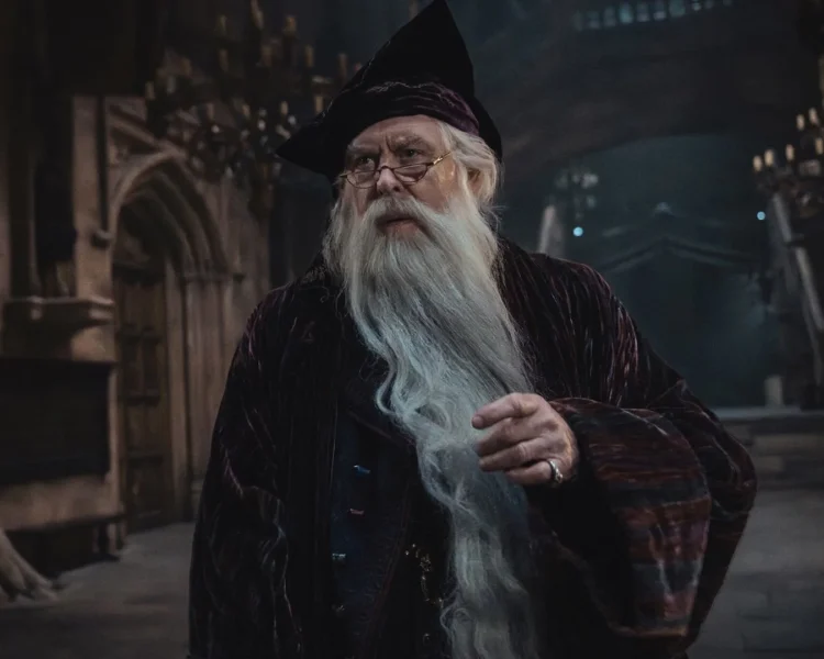 Harry Potter adaptation strategy