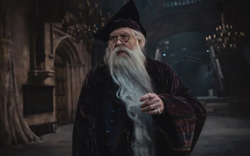 Harry Potter adaptation strategy