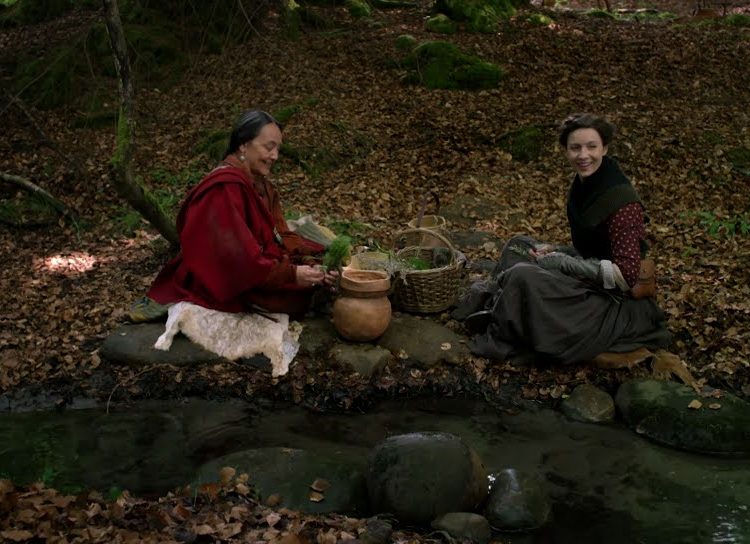 Drums of Autumn Chapter 20
