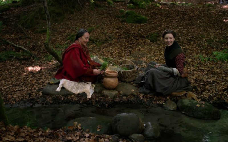 Drums of Autumn Chapter 20
