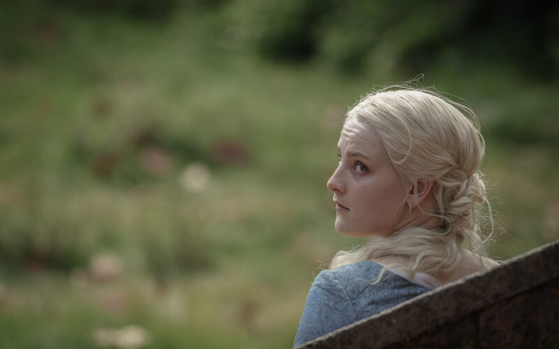 Why did Helaena kill herself